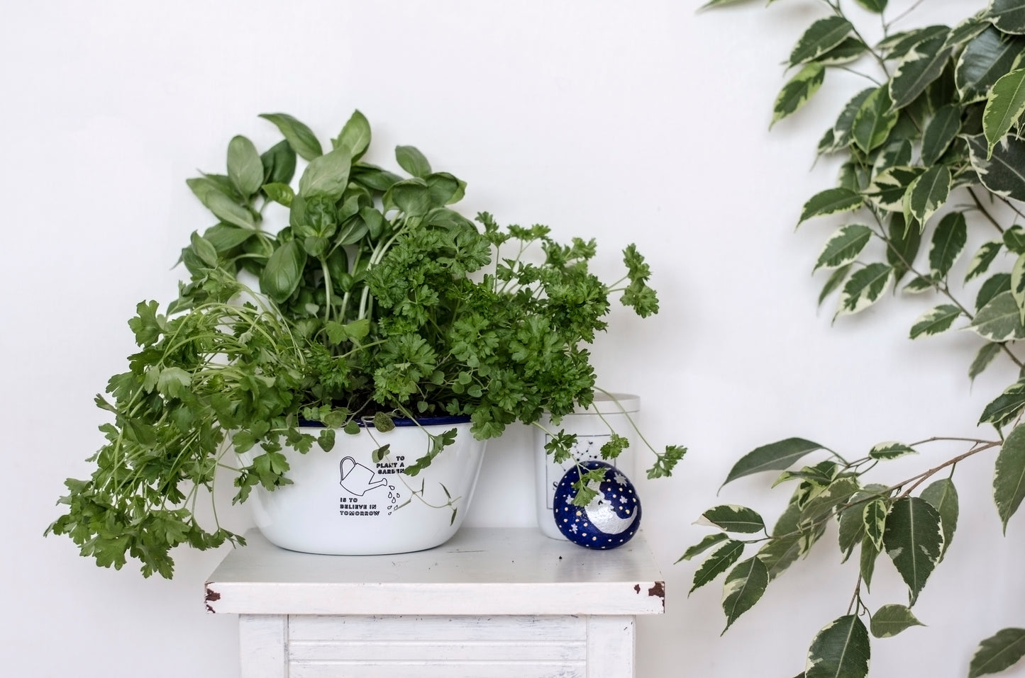 To Plant a Garden Is To Believe In Tomorrow - Engraved Enamel Planter - One Mama One Shed
