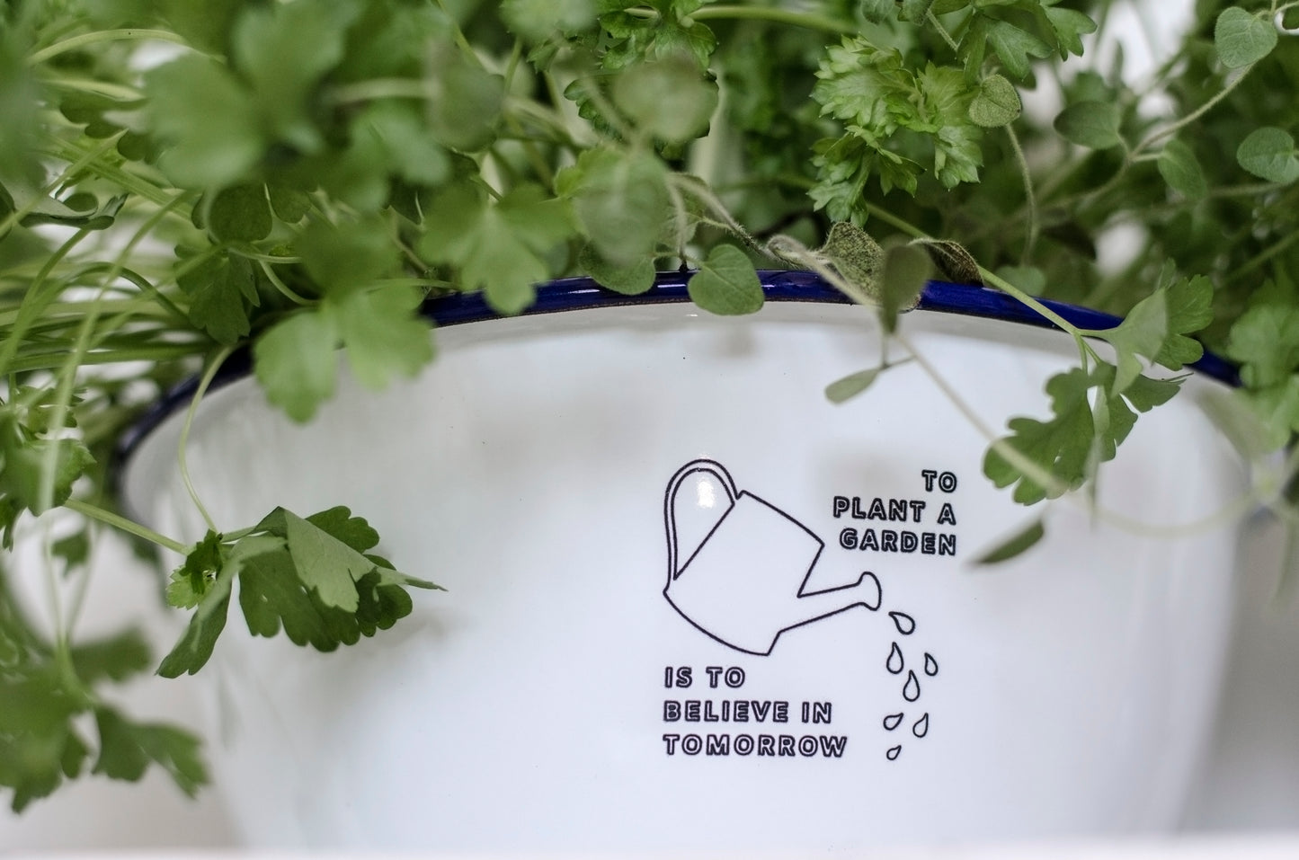 To Plant a Garden Is To Believe In Tomorrow - Engraved Enamel Planter - One Mama One Shed