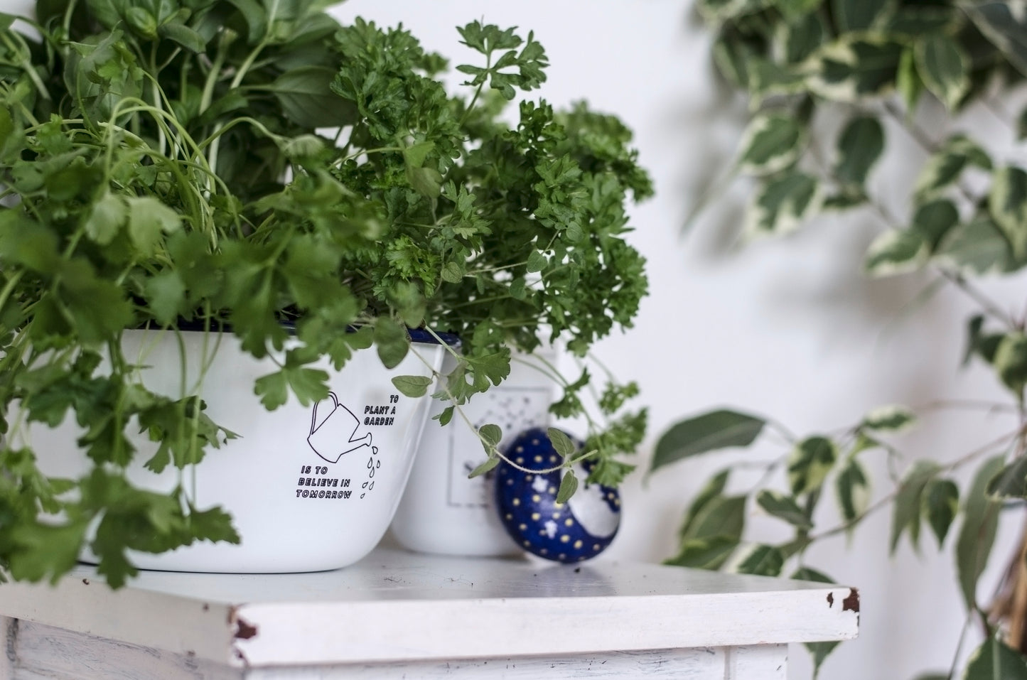 To Plant a Garden Is To Believe In Tomorrow - Engraved Enamel Planter - One Mama One Shed