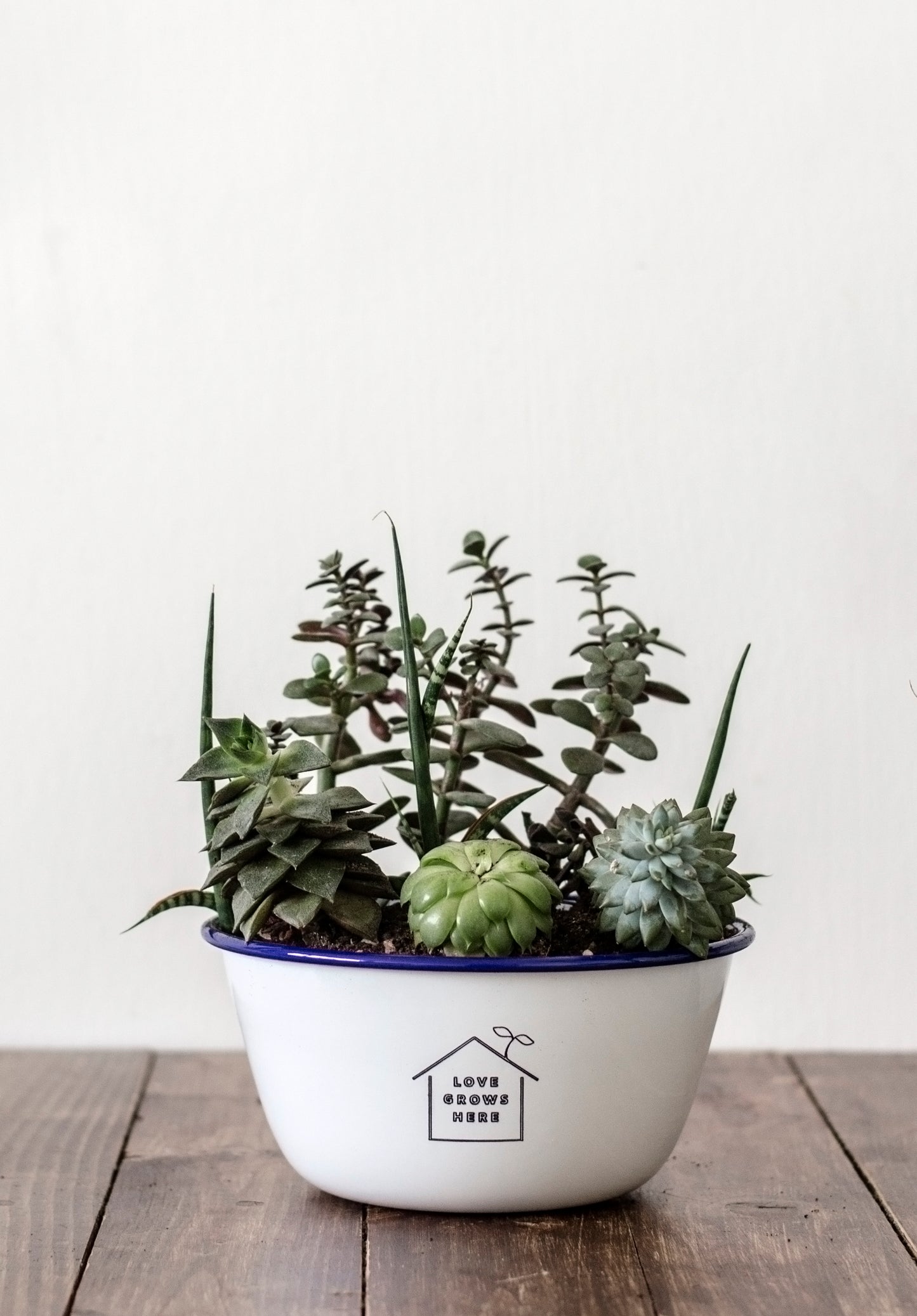 Love Grows Here - Engraved Enamel Planter - One Mama One Shed