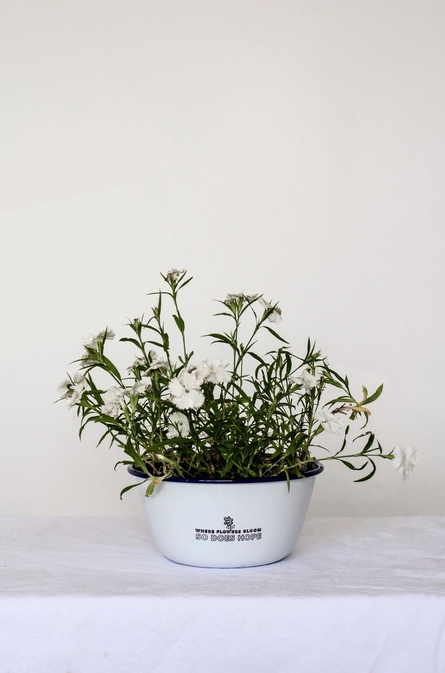 Where Flowers Bloom So Does Hope - Engraved Enamel Planter - One Mama One Shed