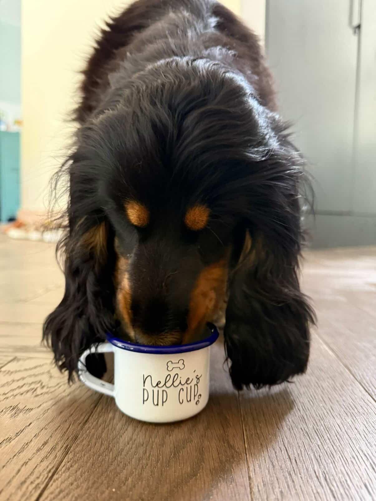 Personalised Puppuccino Cup for Dogs - One Mama One Shed