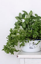 To Plant a Garden Is To Believe In Tomorrow - Engraved Enamel Planter - One Mama One Shed