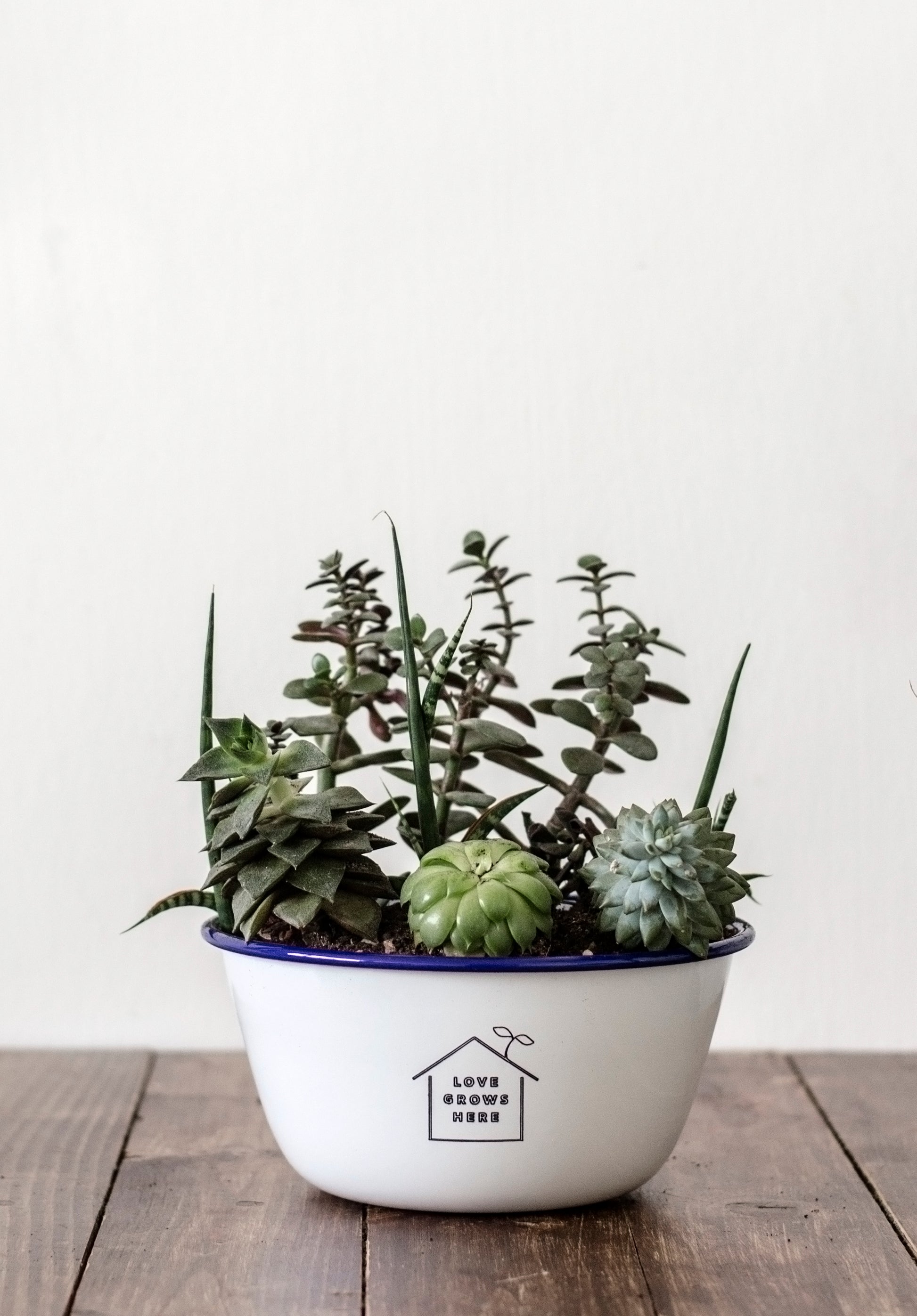 love grows here plant pot Love Grows Here - Engraved Enamel Planter